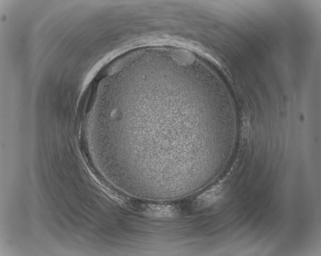 X0000054371509200508011207