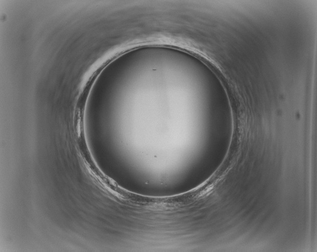 X0000054371510200508011207