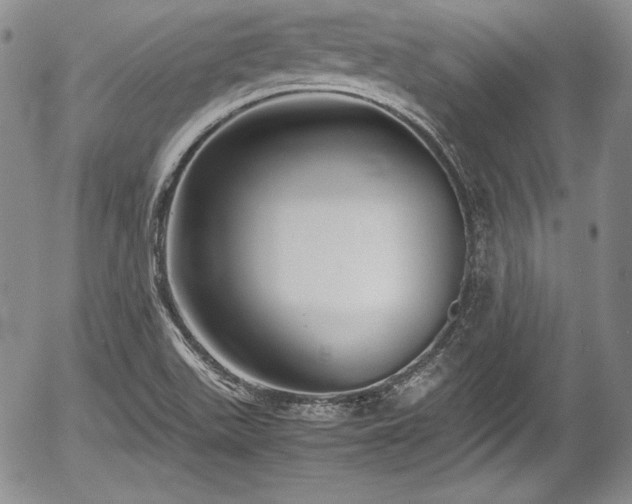 X0000054371511200508011207