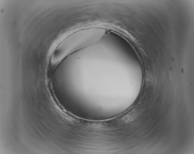 X0000054371512200508011207