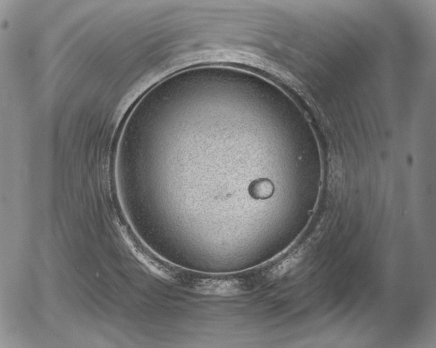 X0000054371513200508011207