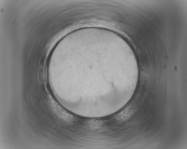 X0000054371514200508011207