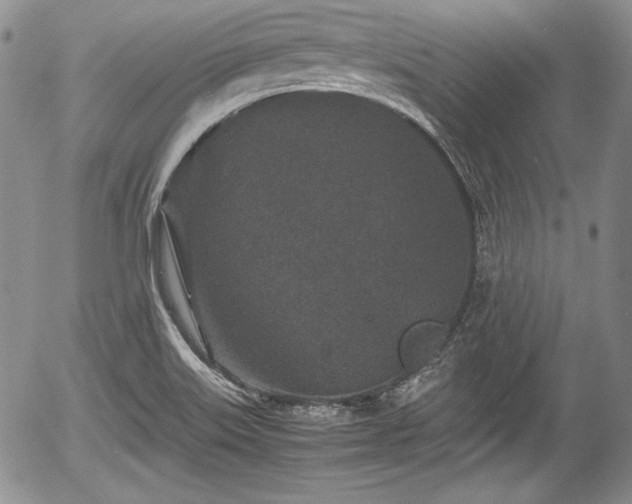 X0000054371515200508011207