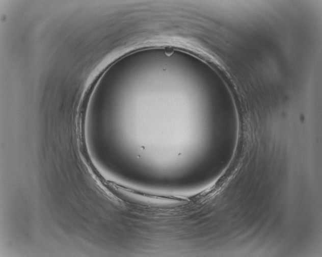 X0000054371517200508011207