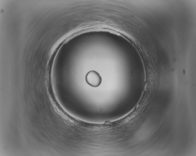 X0000054371518200508011207