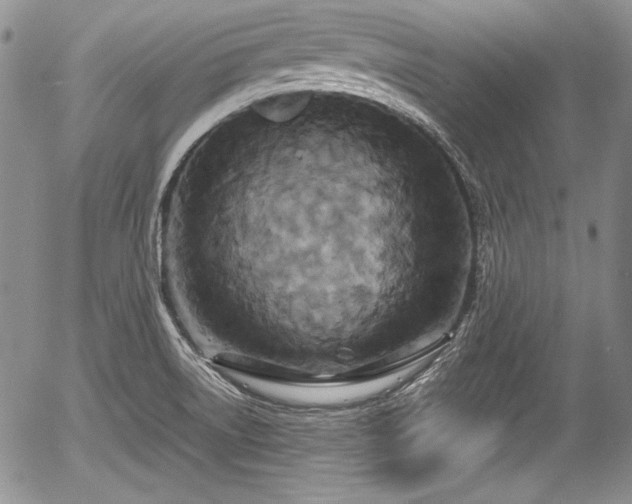 X0000054371522200508011207