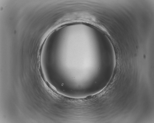 X0000054371524200508011207