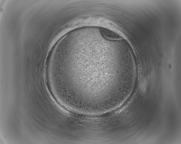 X0000054371525200508011207