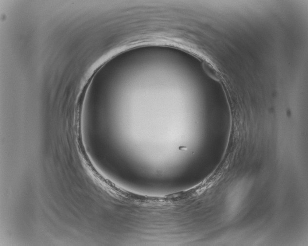 X0000054371526200508011207