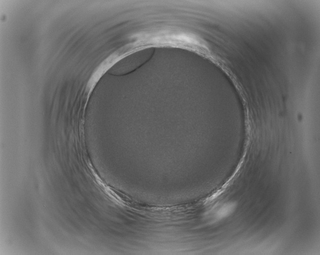 X0000054371529200508011207