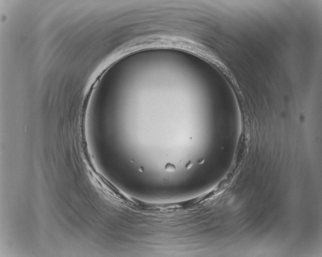 X0000054371530200508011207