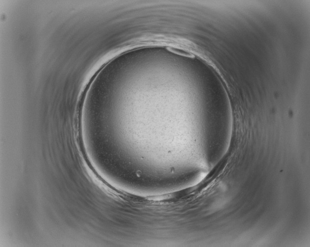 X0000054371531200508011207