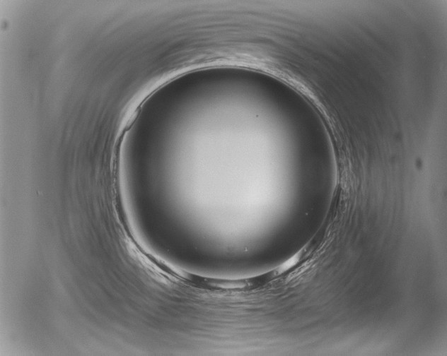 X0000054371532200508011207