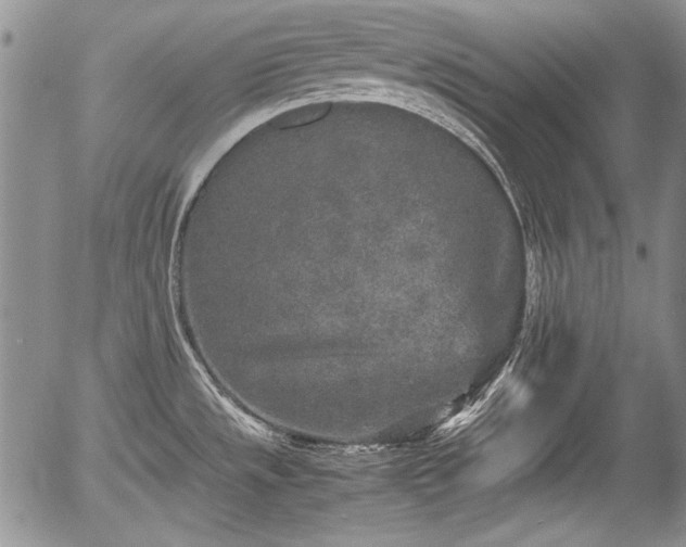 X0000054371533200508011207