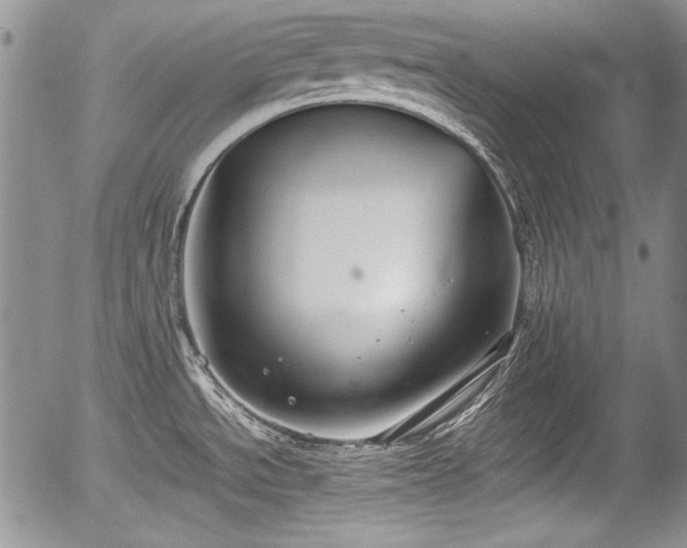 X0000054371534200508011207