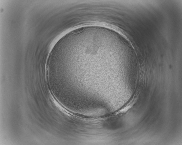 X0000054371535200508011207