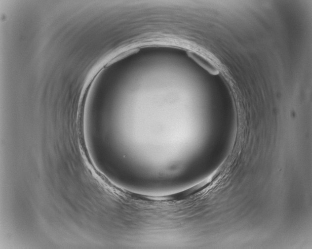 X0000054371536200508011207