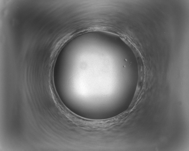 X0000054370001200508051607