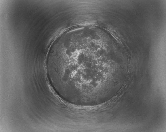 X0000054370002200508051607