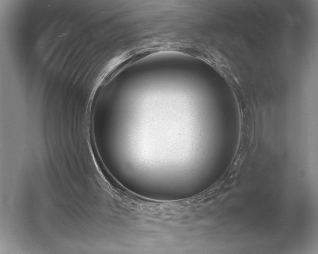 X0000054370003200508051607