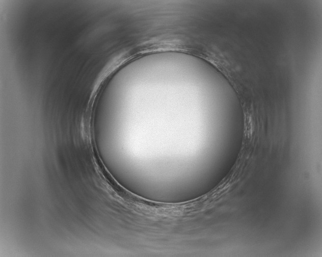 X0000054370004200508051607