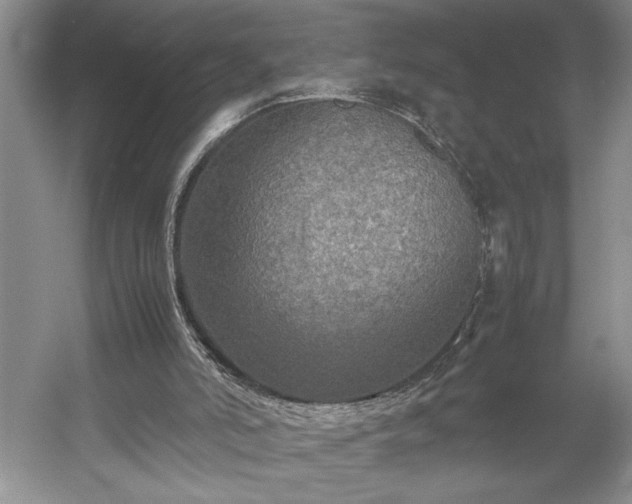 X0000054370006200508051607