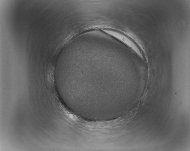 X0000054370009200508051607