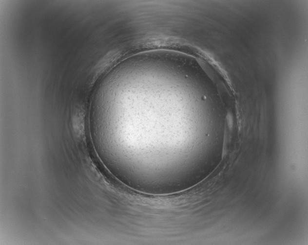 X0000054370010200508051607