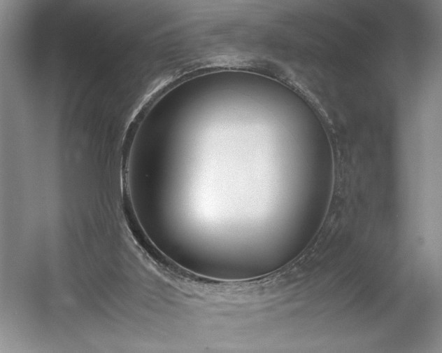 X0000054370011200508051607