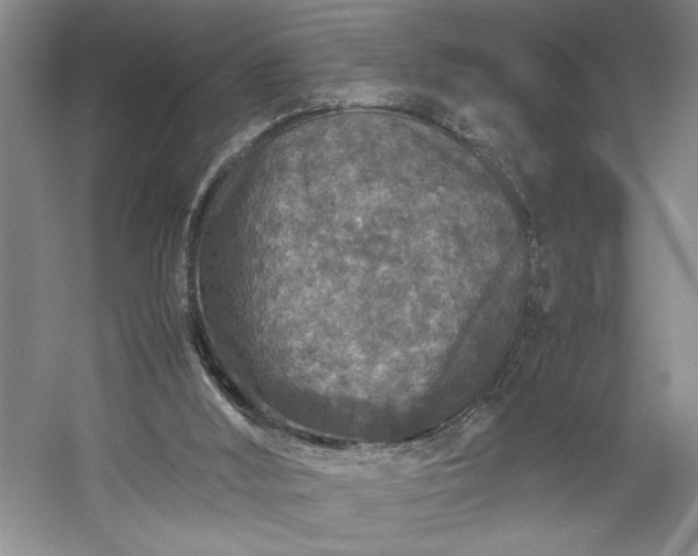 X0000054370012200508051607