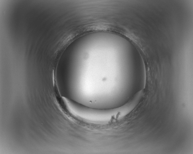 X0000054370013200508051607