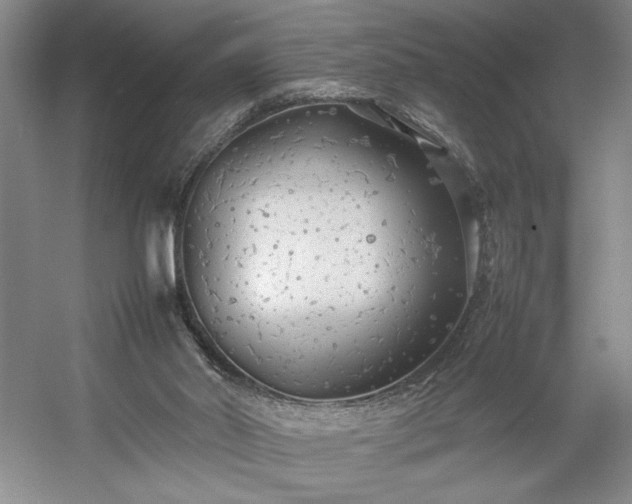 X0000054370014200508051607