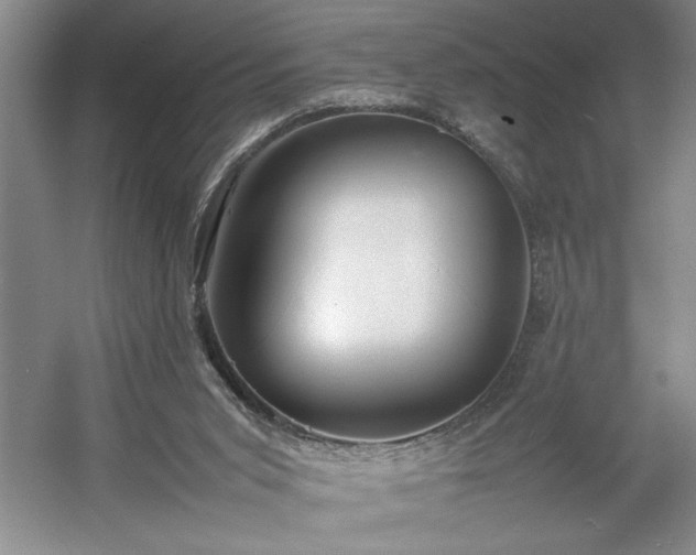 X0000054370015200508051607