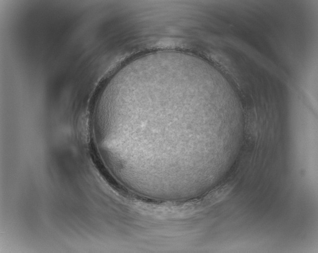 X0000054370016200508051607