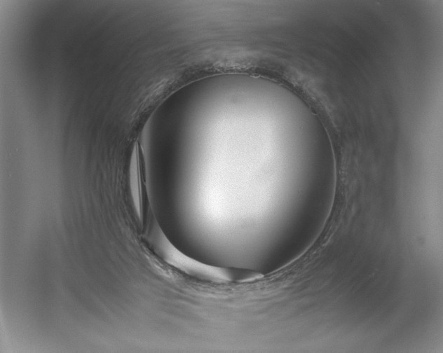 X0000054370017200508051607