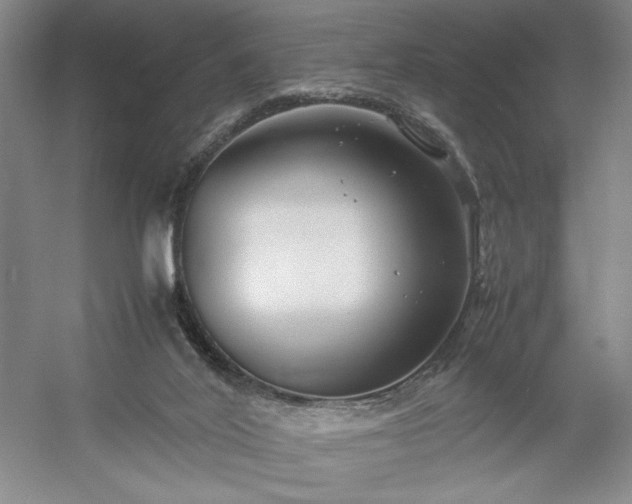 X0000054370020200508051607