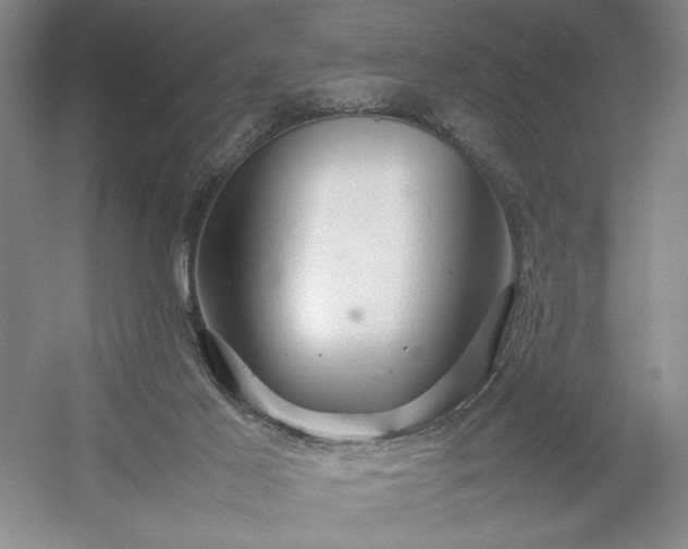 X0000054370021200508051607