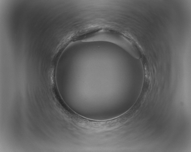 X0000054370023200508051607