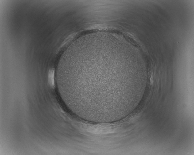 X0000054370024200508051607