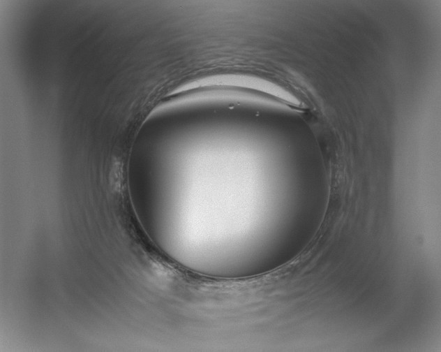 X0000054370025200508051607