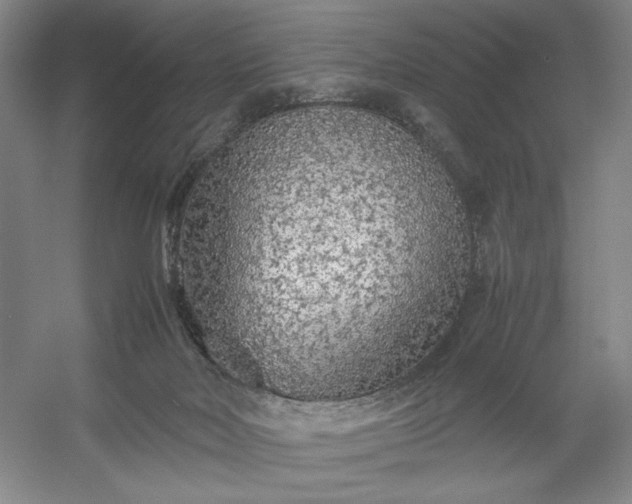 X0000054370026200508051607