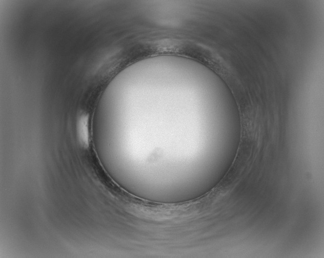 X0000054370028200508051607