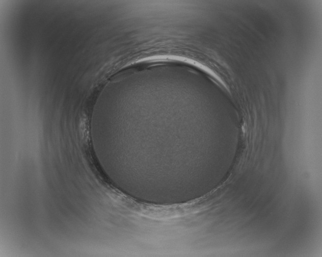 X0000054370029200508051607