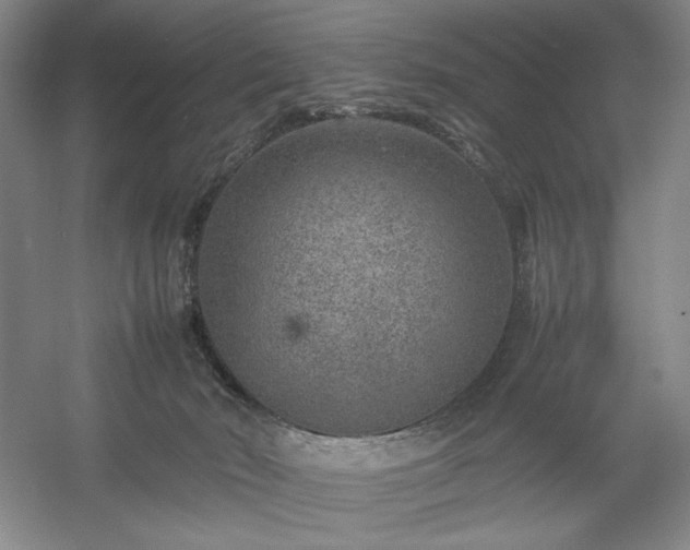 X0000054370030200508051607