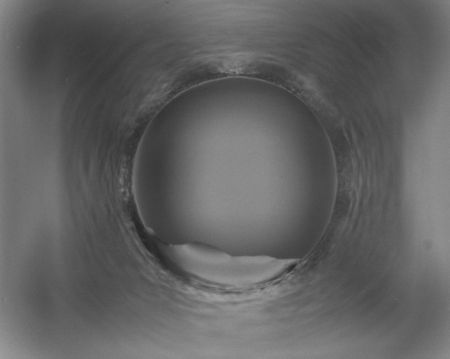 X0000054370031200508051607