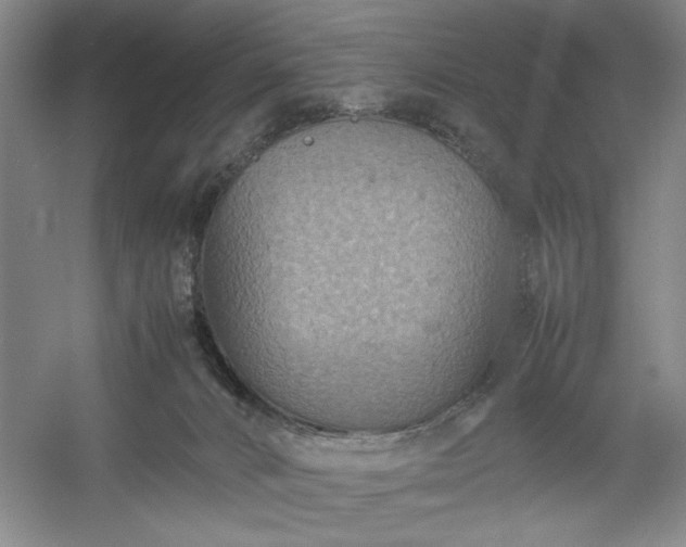 X0000054370032200508051607