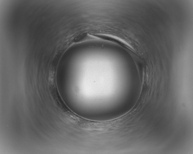 X0000054370033200508051607