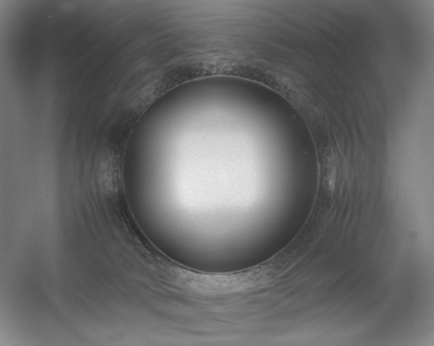 X0000054370034200508051607