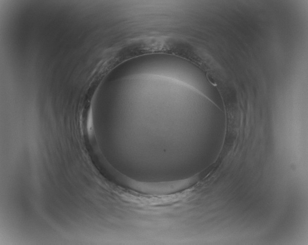 X0000054370035200508051607