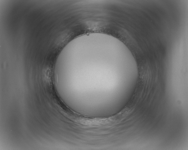 X0000054370036200508051607